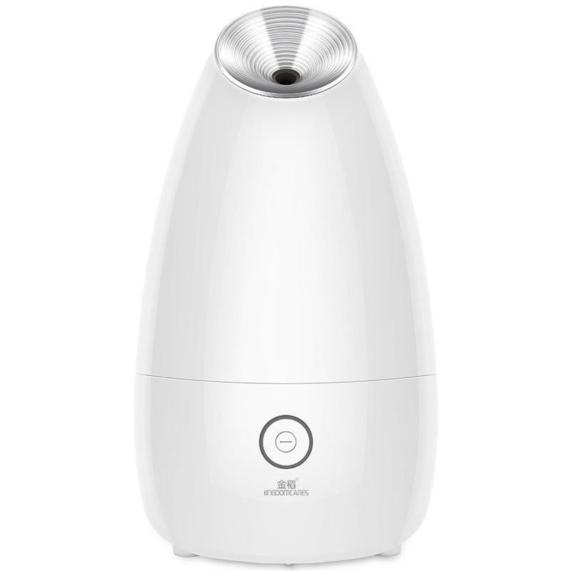 HydraSteam Facial Spa