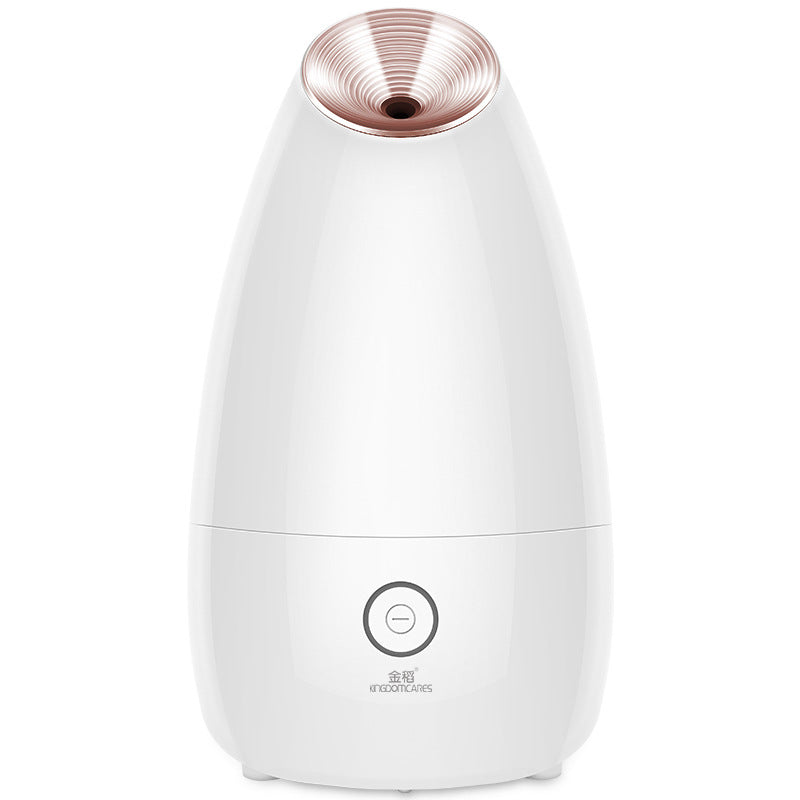 HydraSteam Facial Spa