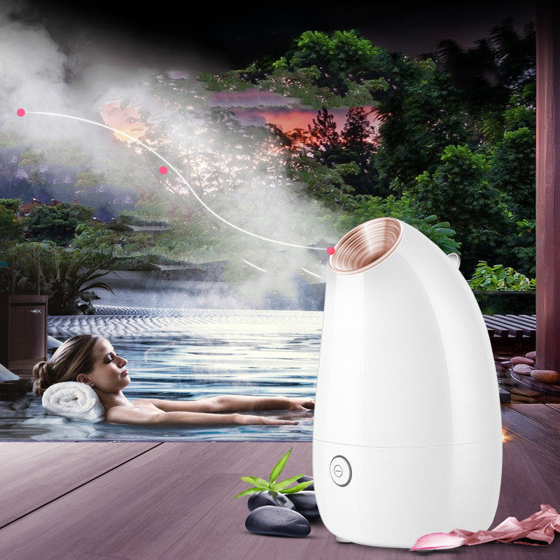 HydraSteam Facial Spa